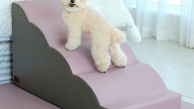 클라우드스텝? 써보니 이 가격에 이런 기능이?! 🤩